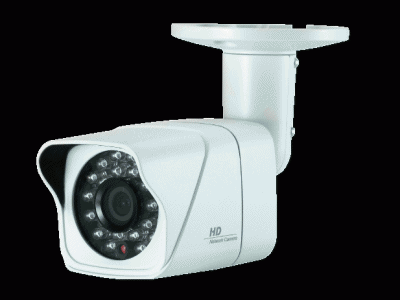 Hybrid IP Camera BF-U11-24 Wonwoo